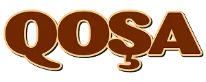 Azerloterya Logo